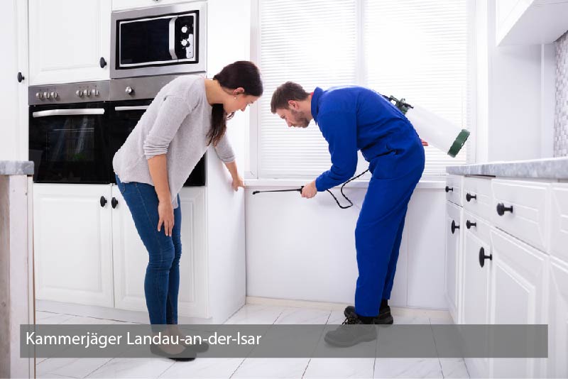 Kammerjäger Landau-an-der-Isar