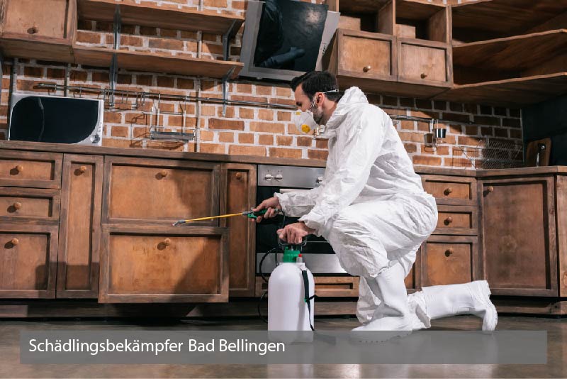 Schädlingsbekämpfer Bad Bellingen